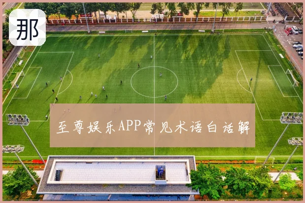 至尊娱乐APP常见术语白话解